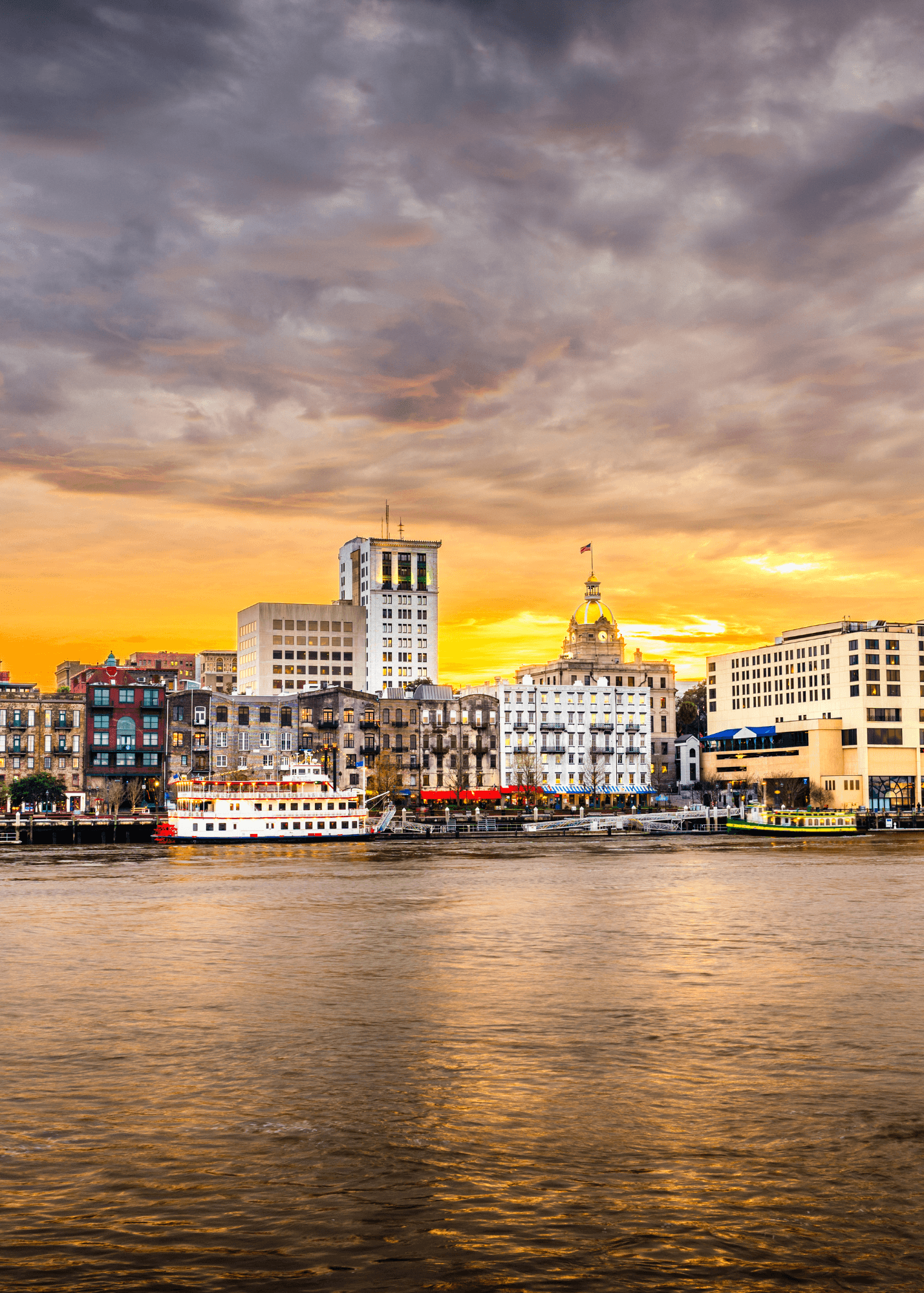 Savannah on the seashore during sunset