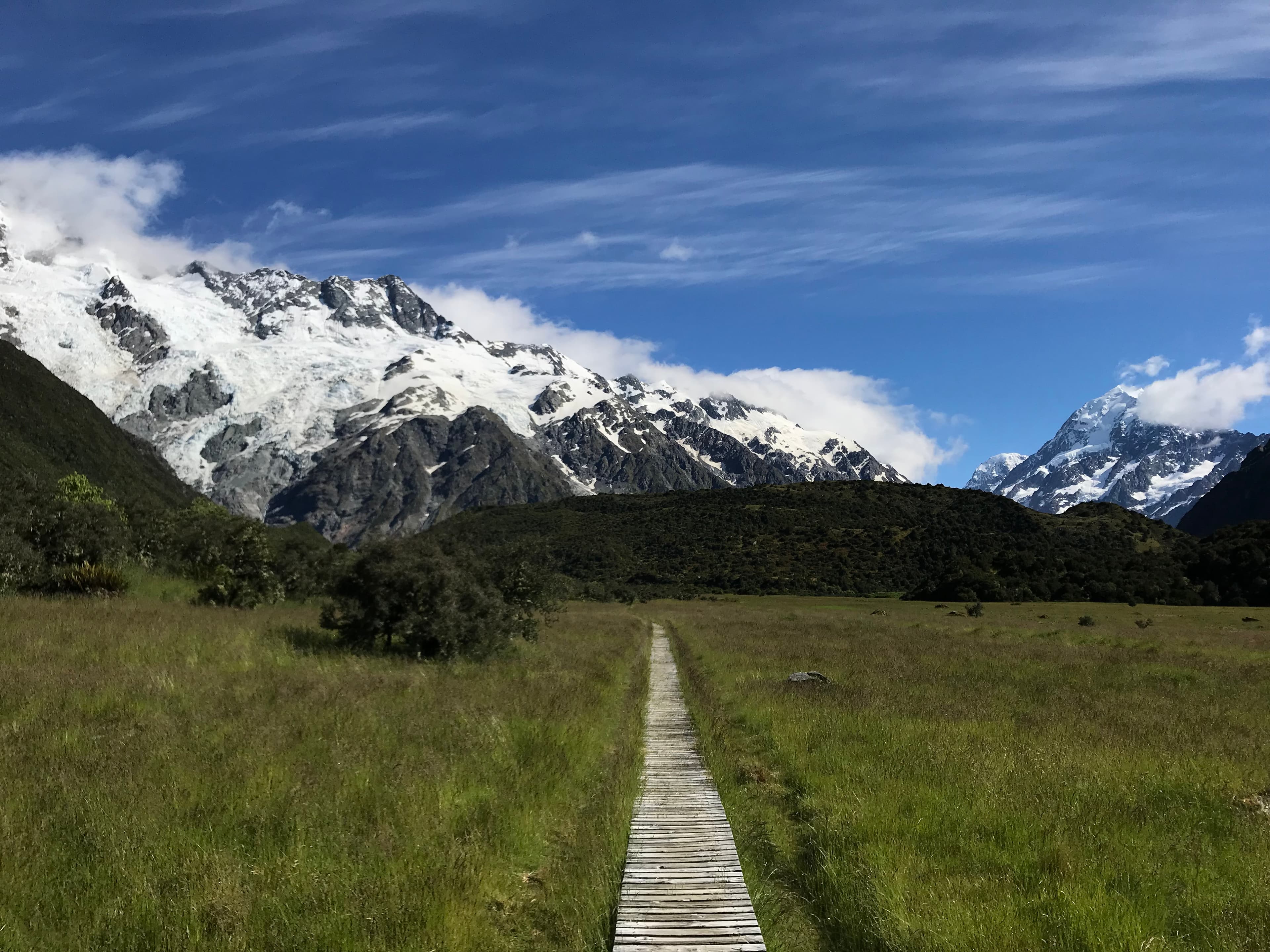 View of a pathway in the field