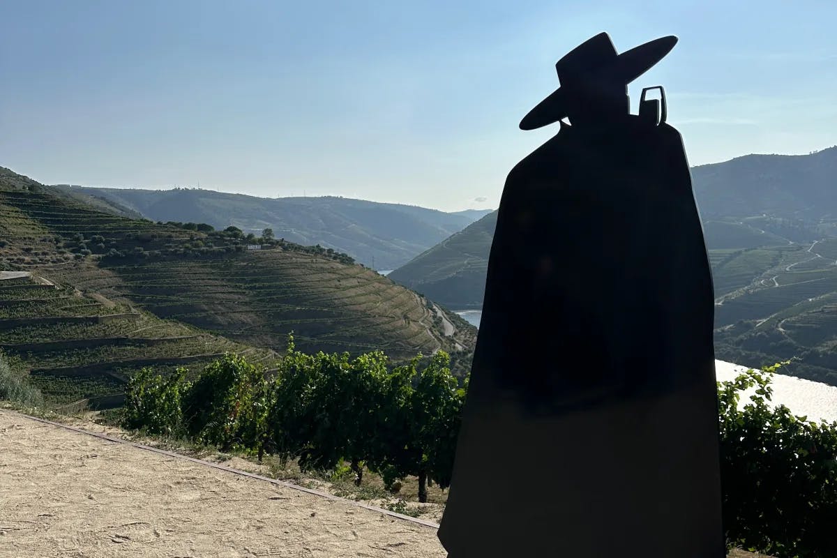 The Sandeman Winery offers daily tours and tastings as well as gorgeous views of the Douro River and Valley.