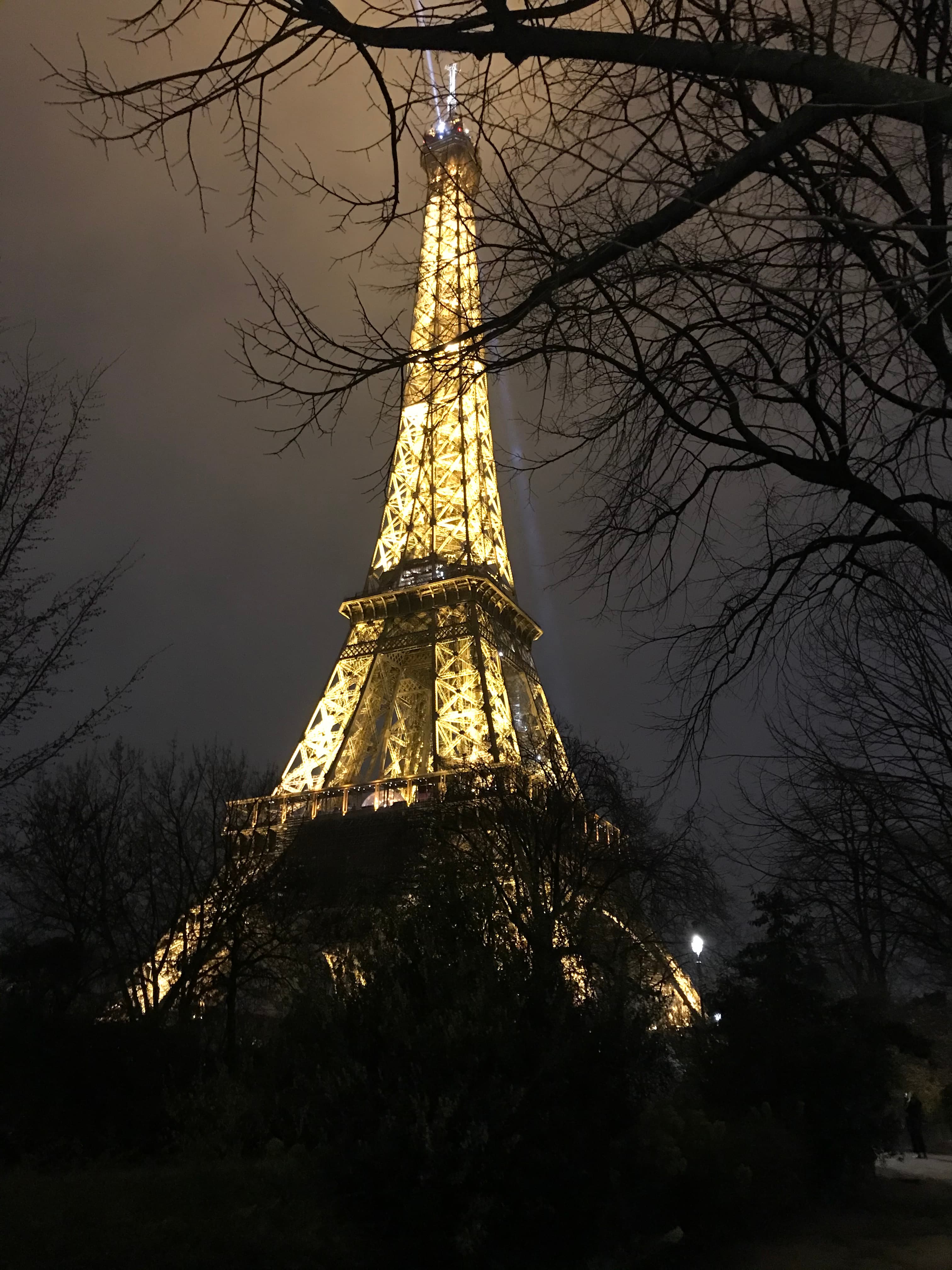 A beautiful view