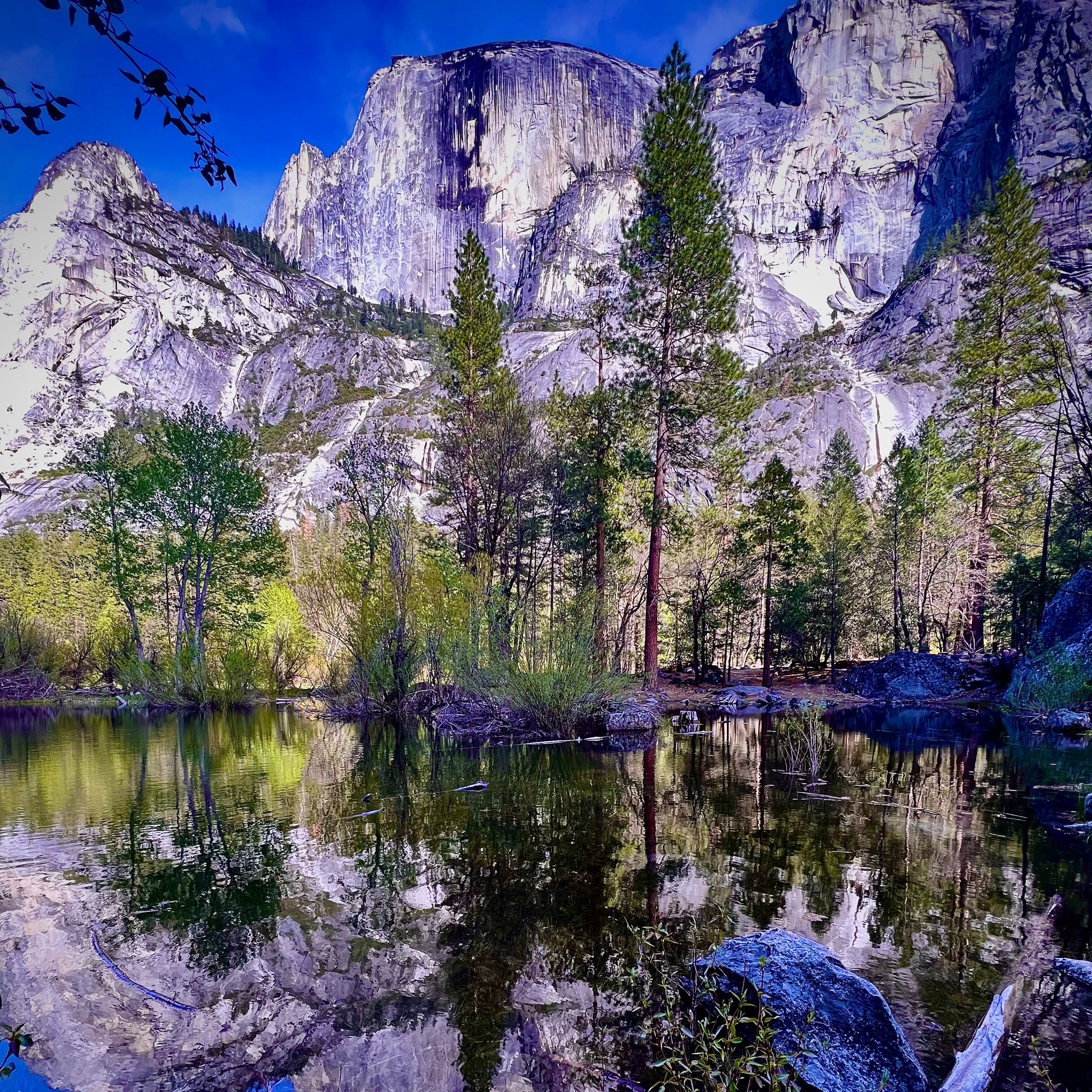 Travel Advisor Rini Choudhury's photo of a snowy mountain and lake.