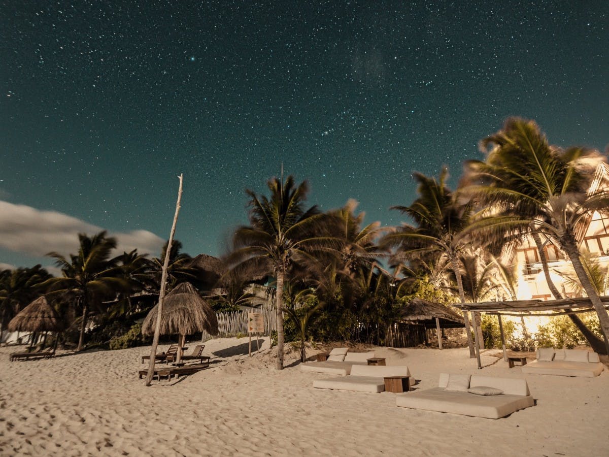 Lounge chairs on a sandy shore and palm trees under a starry sky in Tulum, Mexico. 
