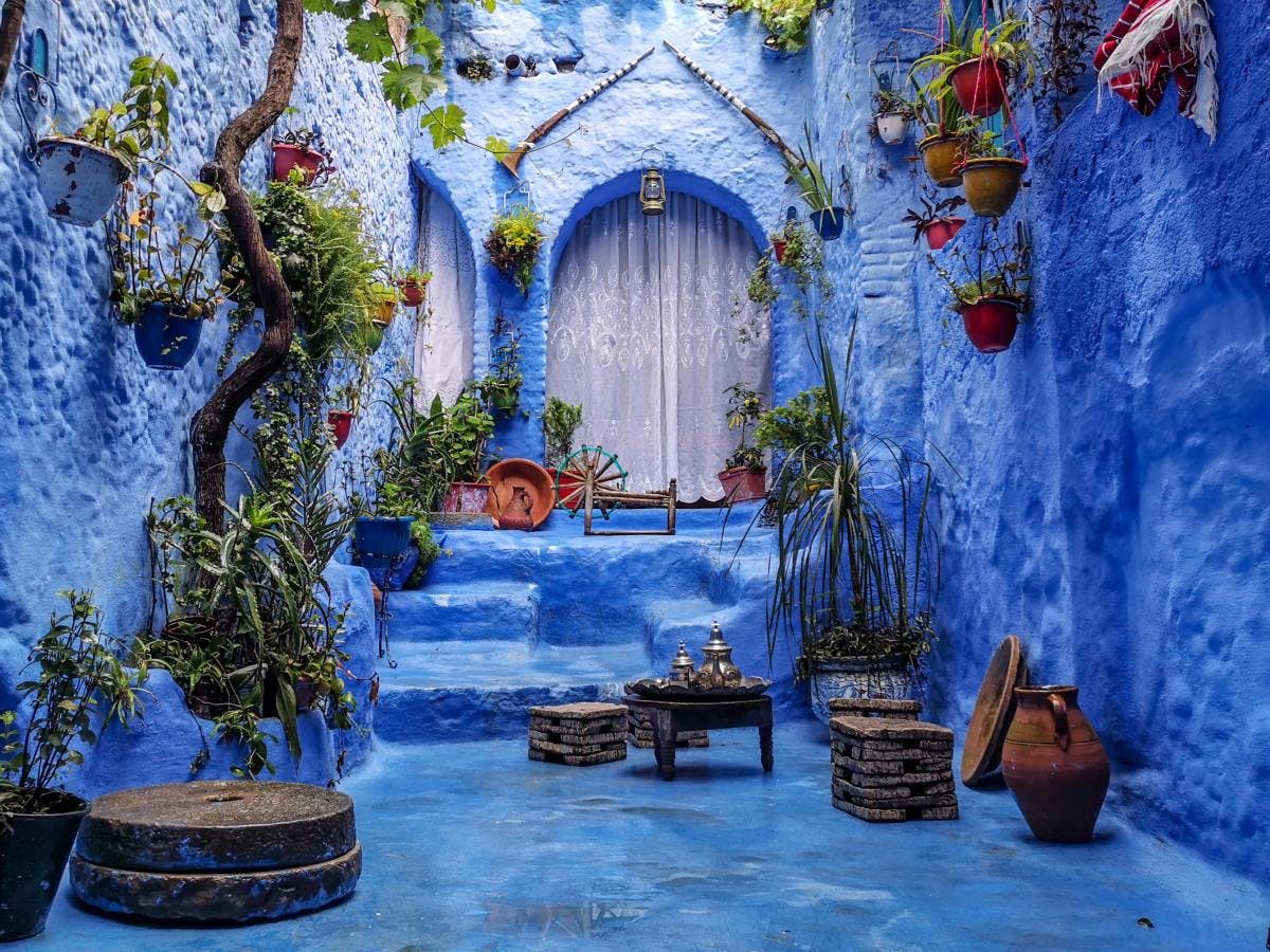 Lilac walls and doorway covered in hanging plants in Morocco