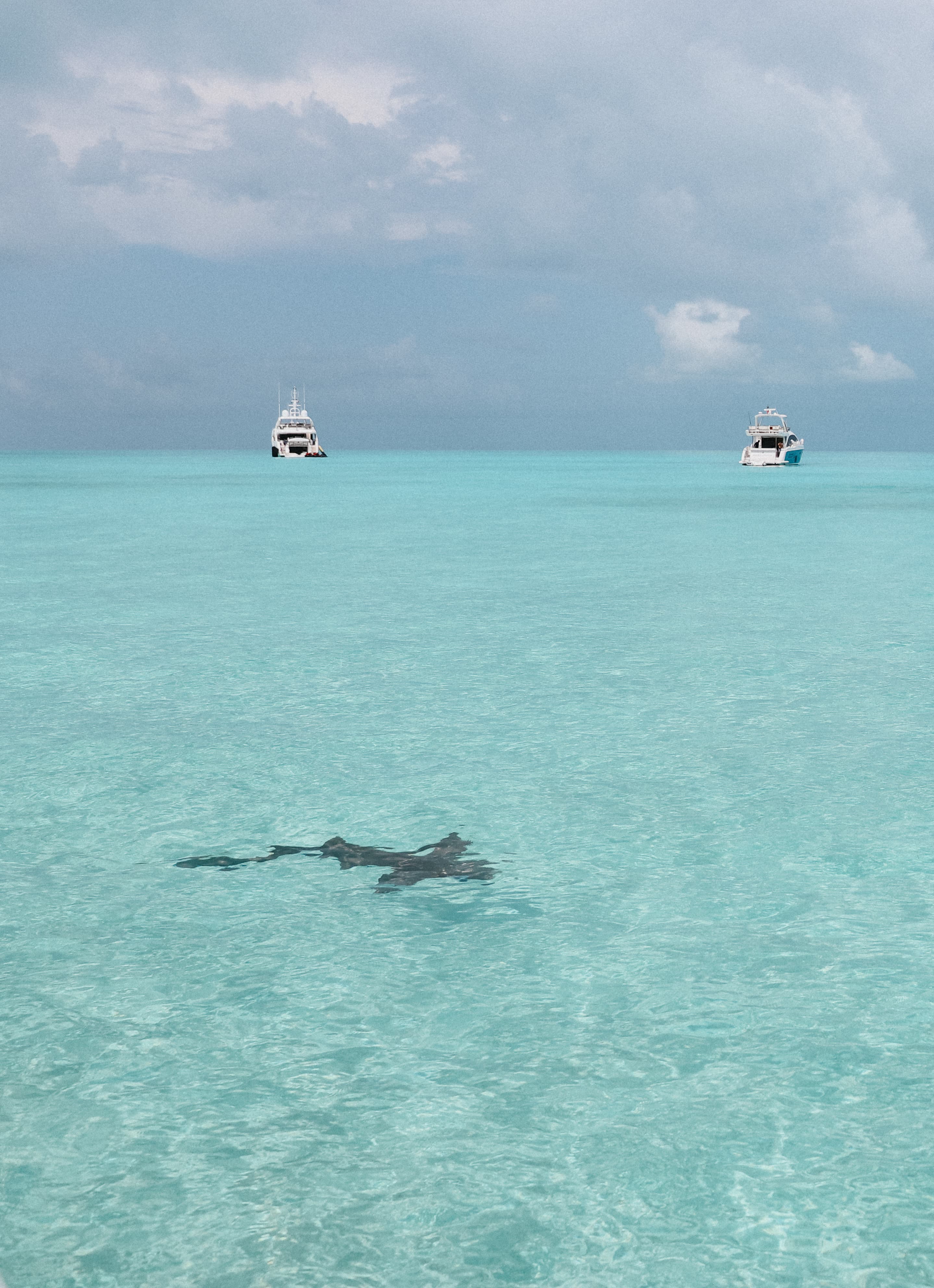 Picture of cruise in Ocean