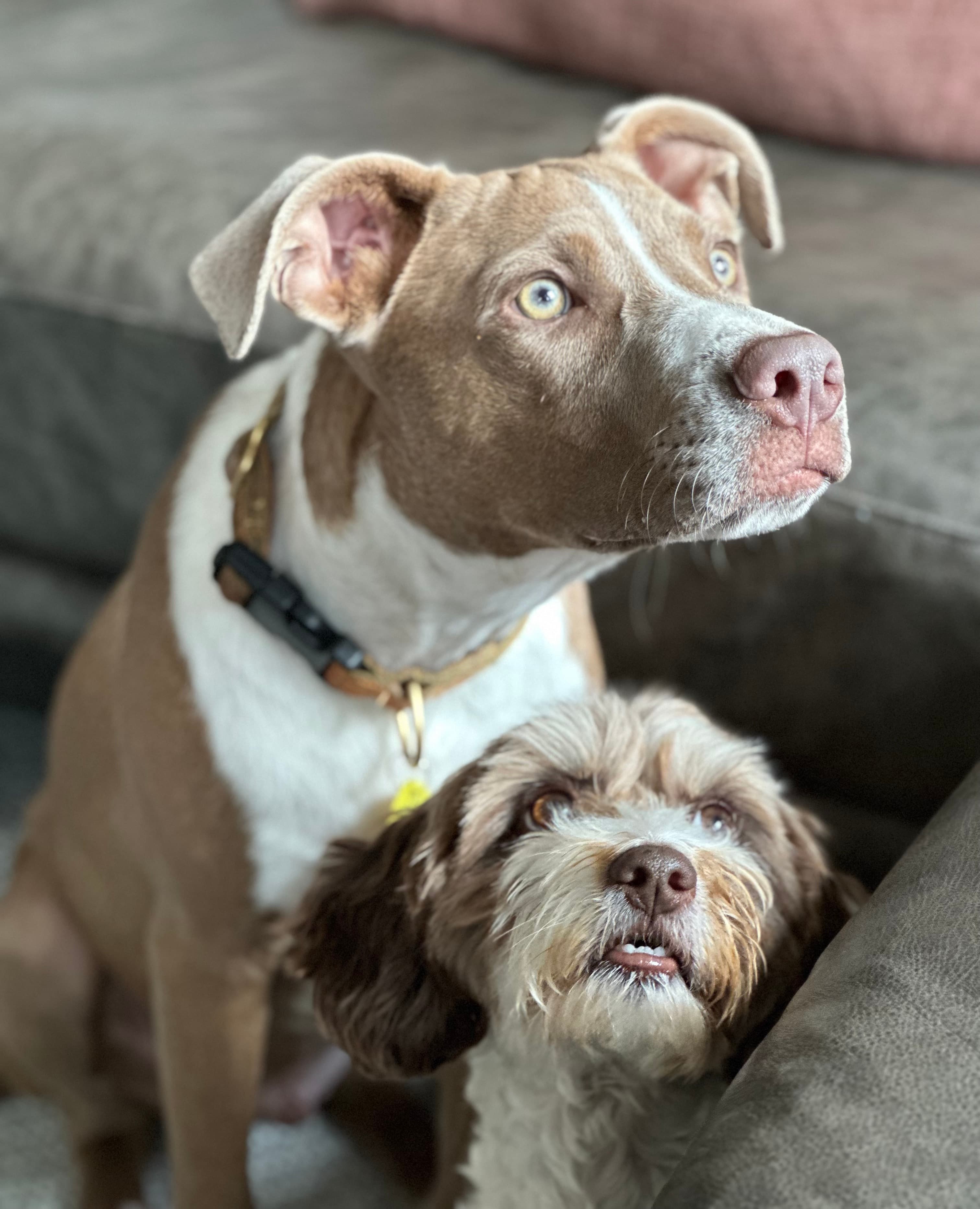 Picture of a women dancing