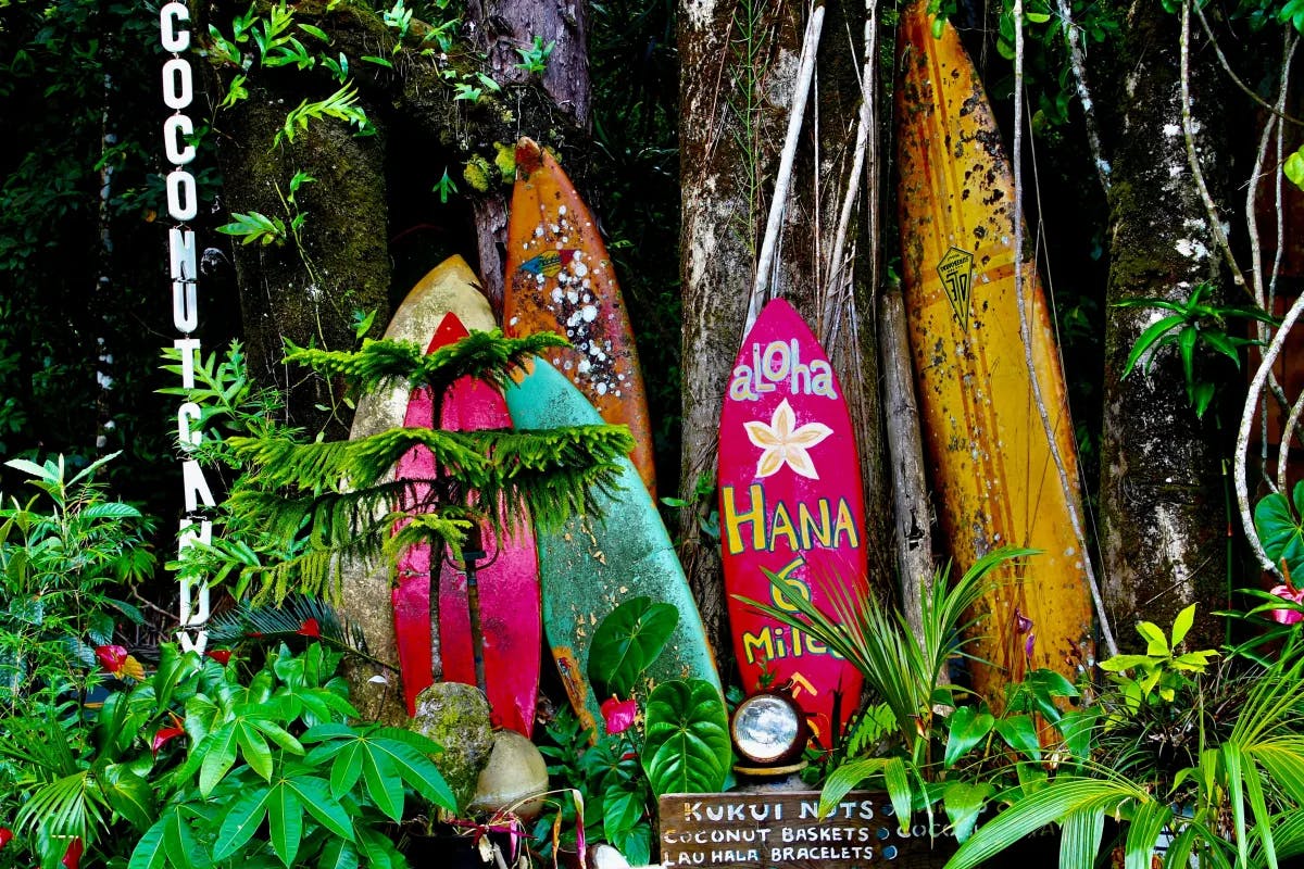 surfing-boards-maui-travel-guide