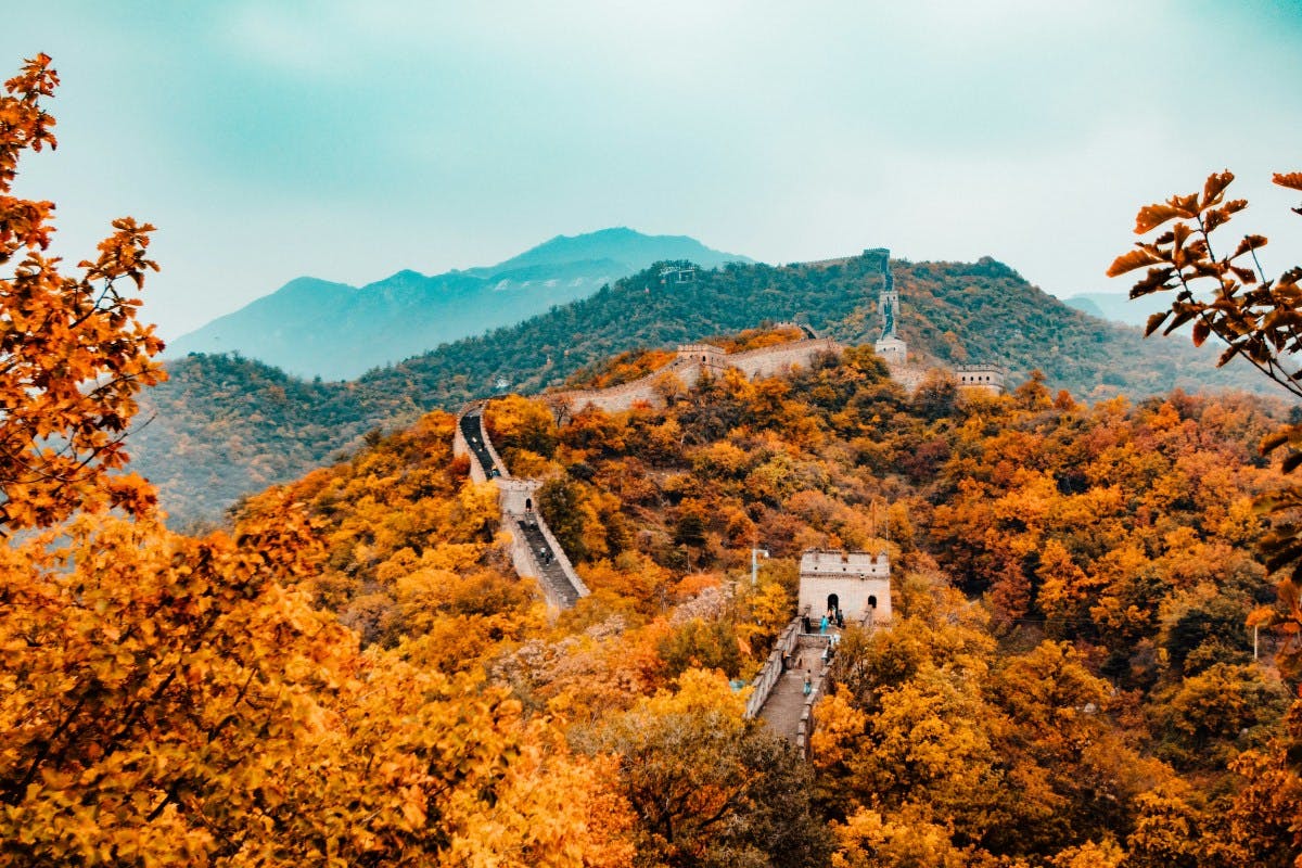 The Great Wall of China amidst hills covered in orange fall foliage.