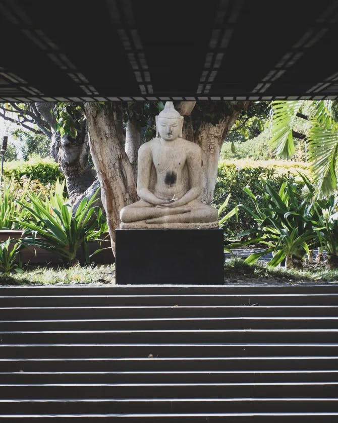 Picture of a Buddha Statue