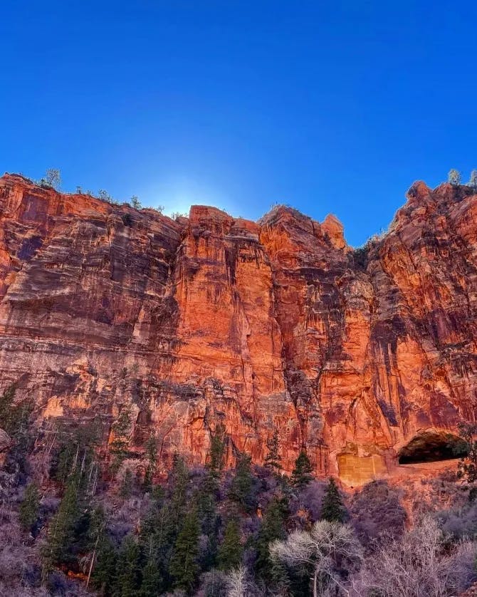 Picture of Zion National Park
