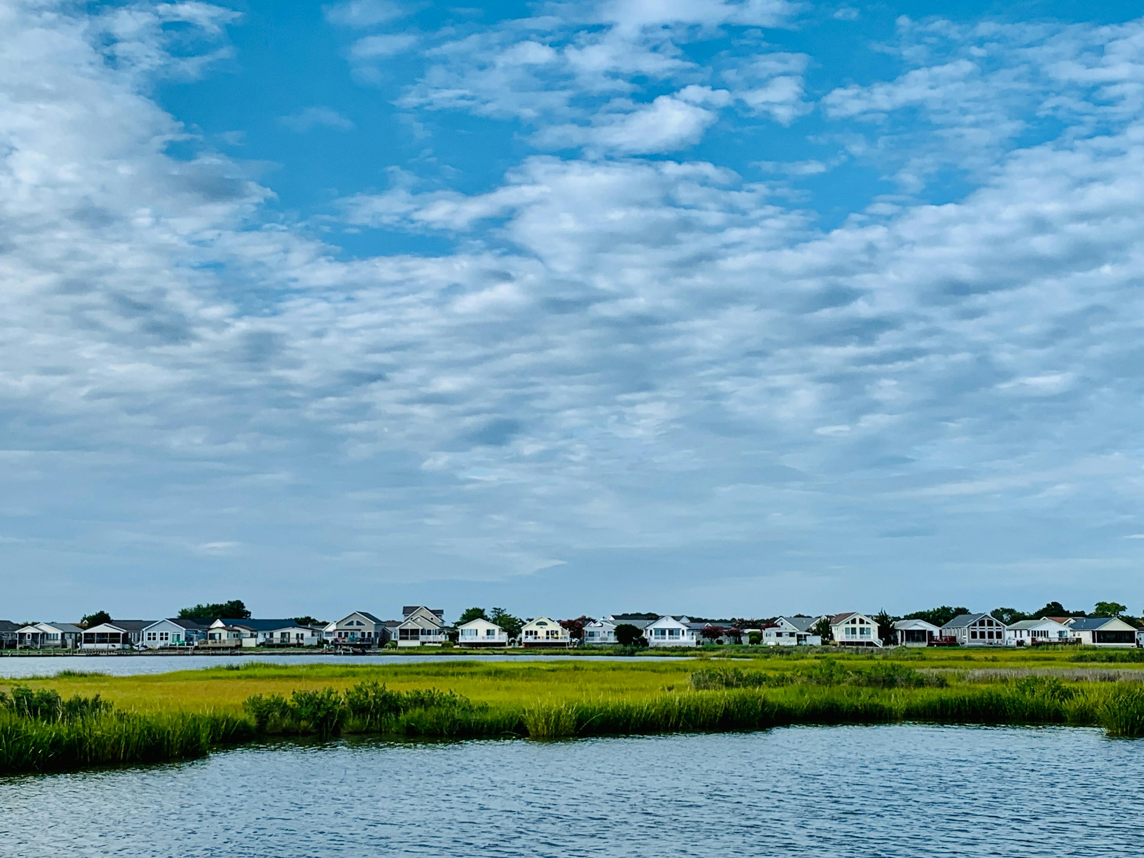 houses next to body of water and marshland