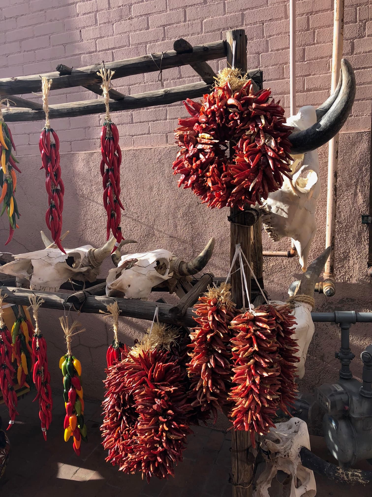 dried red chilies