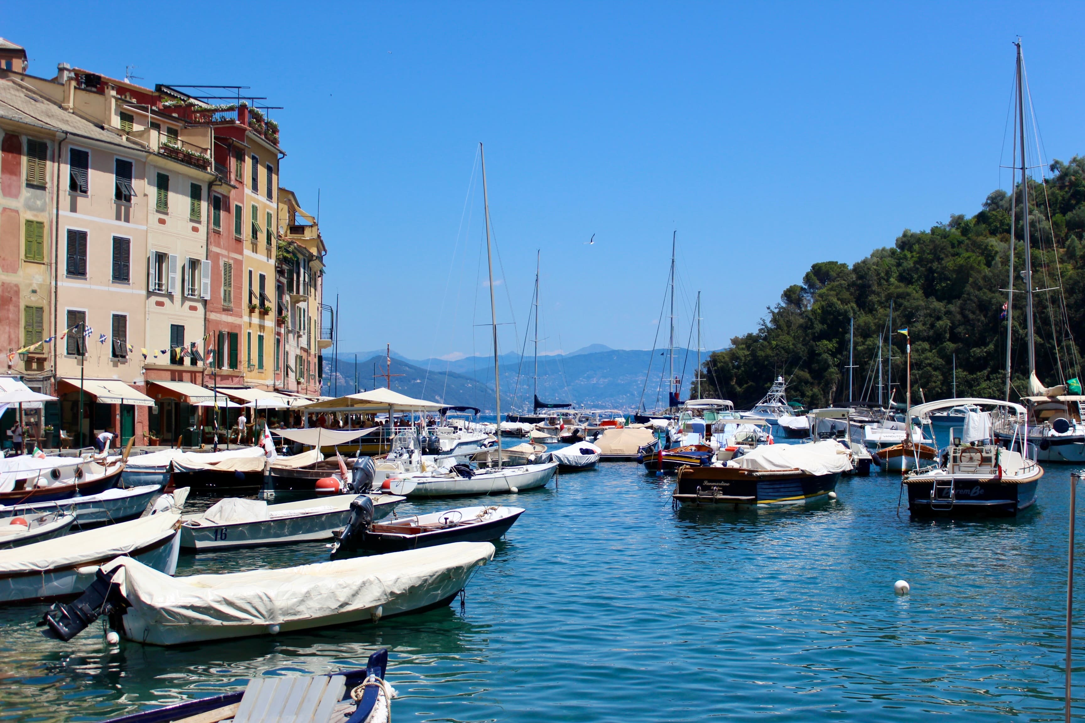 A view of Portofino's marina and apartment buildings.