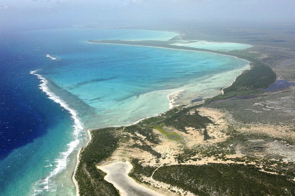 Aerial view of island beach