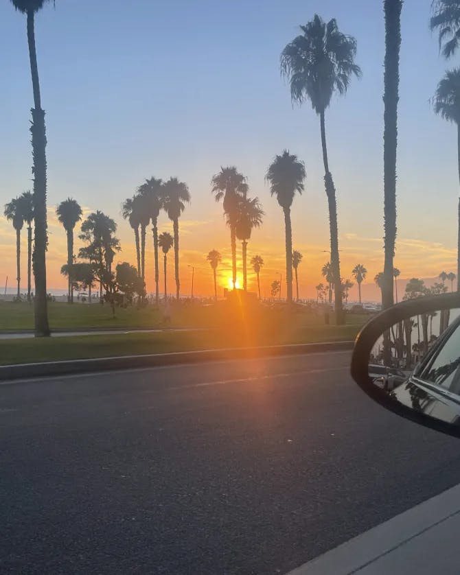 A photo of palm trees against the sunset taken on a cell phone sitting inside of a car with the side mirror showing