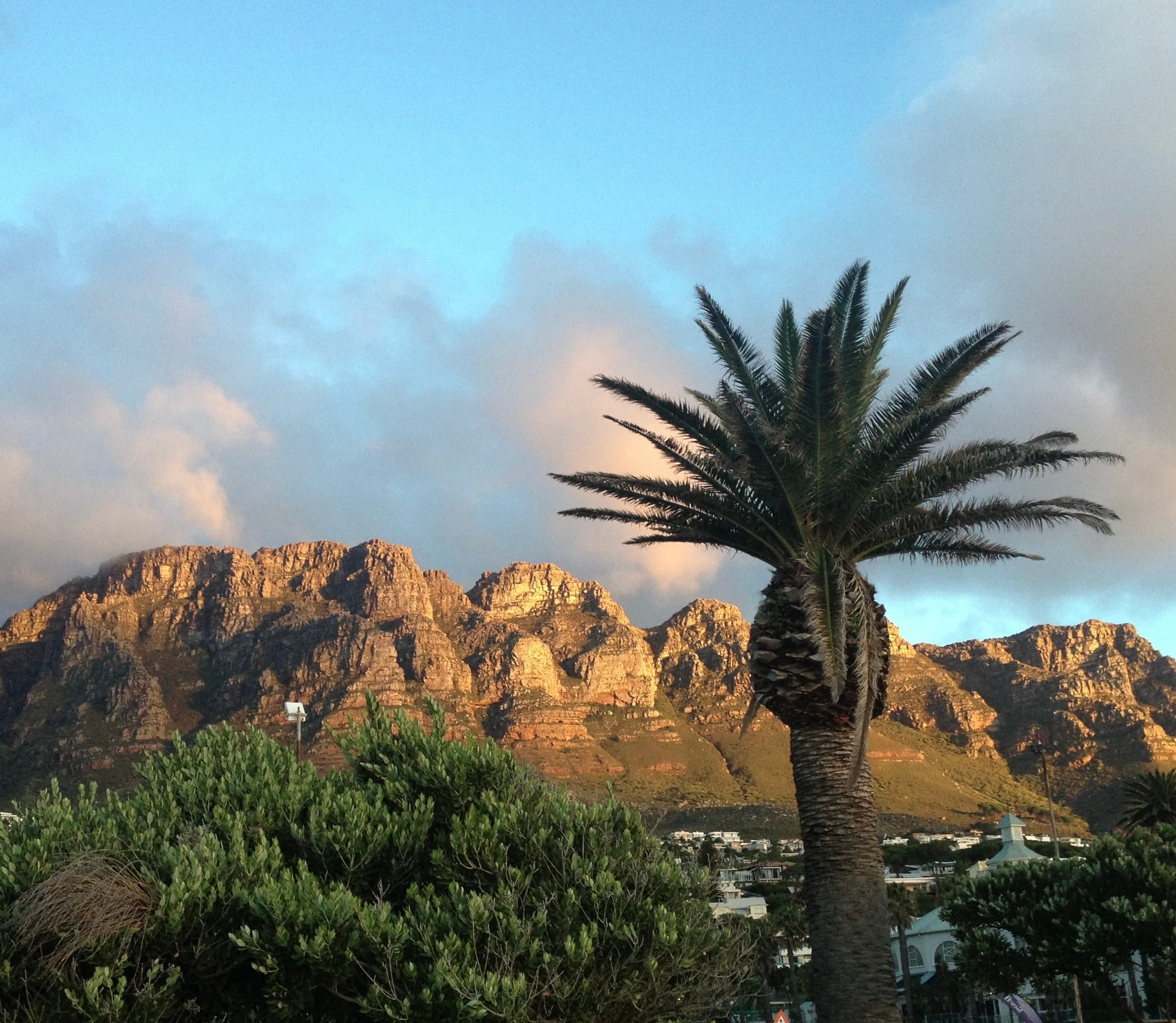 A beautiful view and a tree