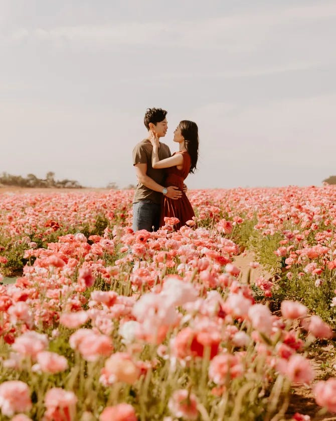 Romantic photo in the field of flowers