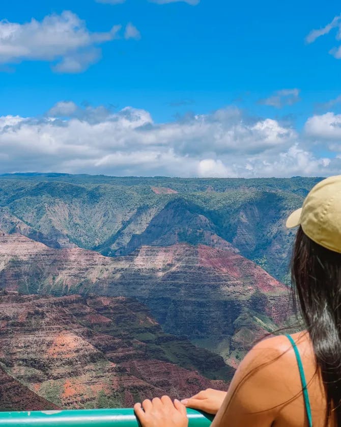A view of Hawai'i canyon
