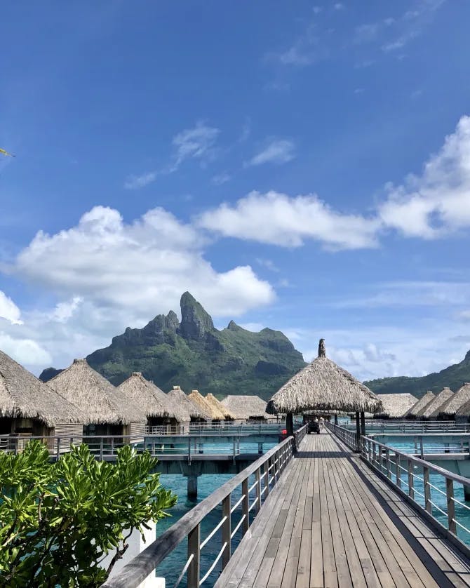 A picture of The St. Regis Bora Bora Resort with a volcano and palm trees in the surrounding areas