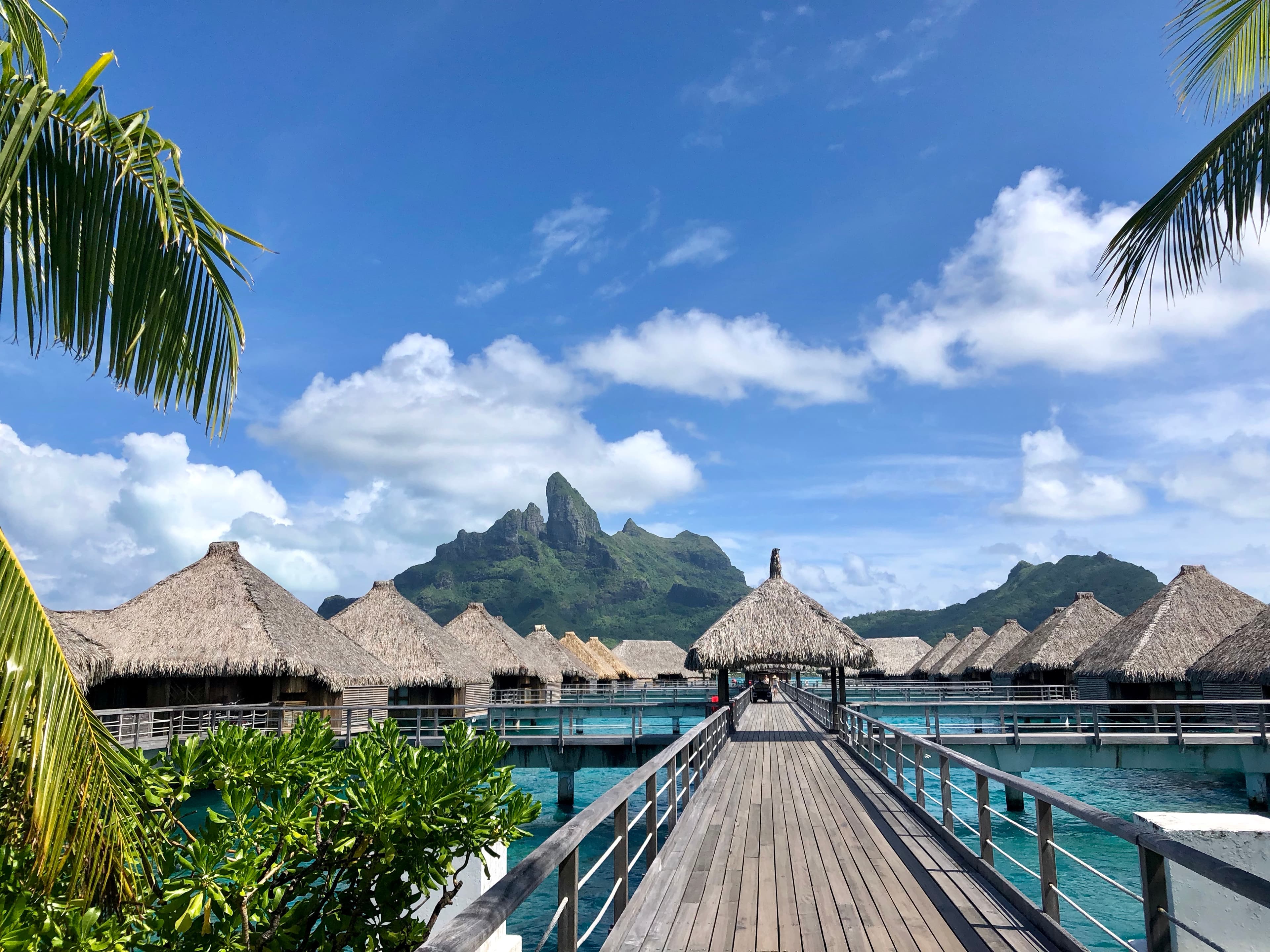 A picture of The St. Regis Bora Bora Resort with a volcano and palm trees in the surrounding areas
