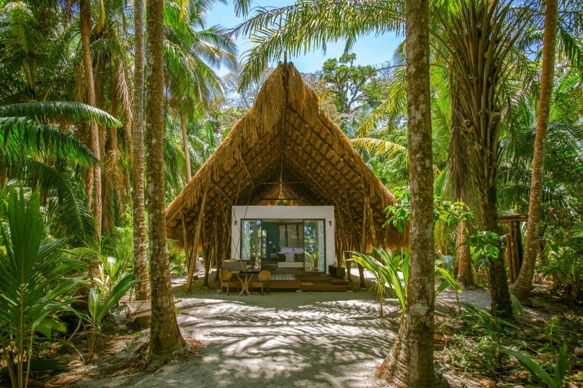a thatched-roof beachfront bungalow flanked by palm trees