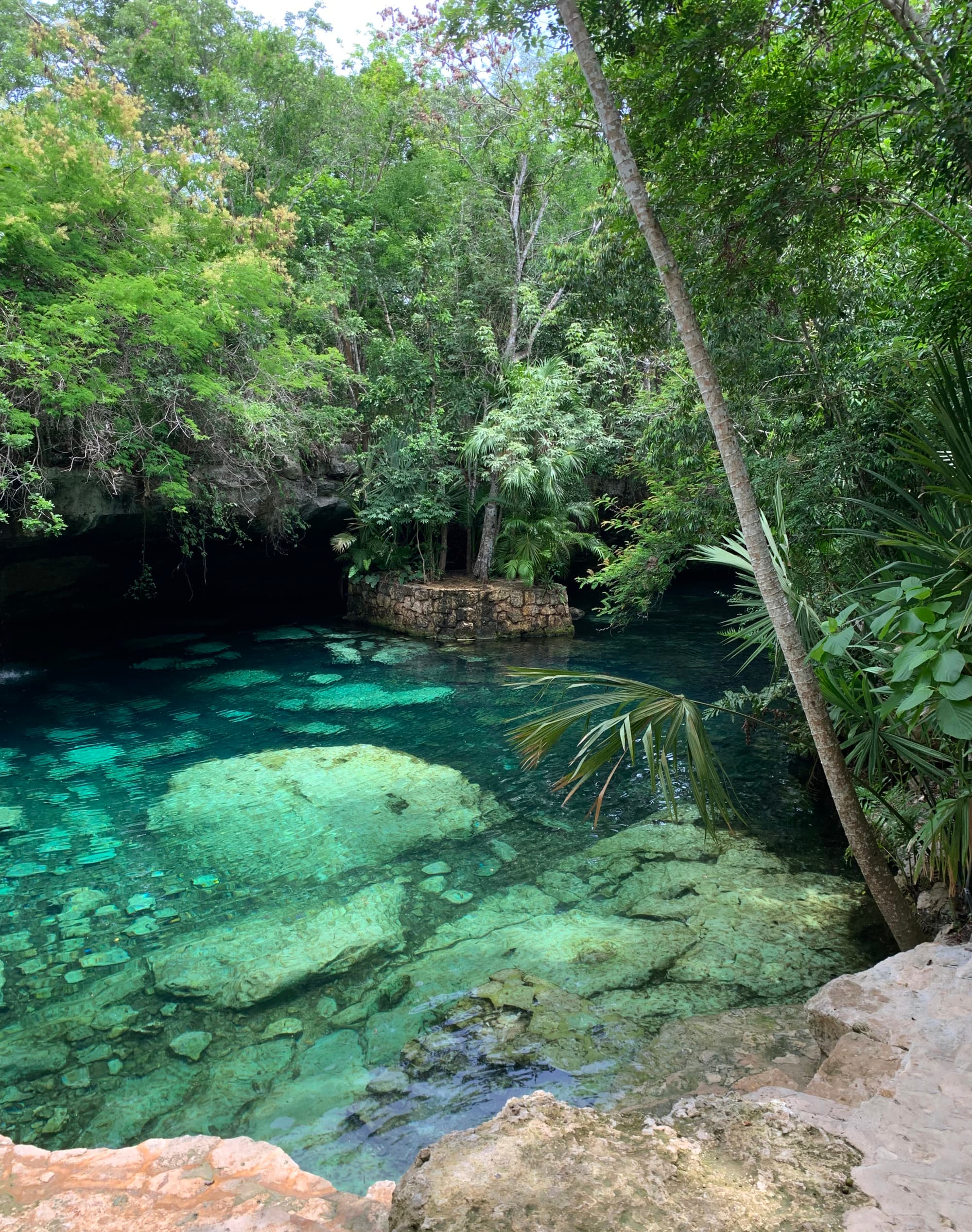 a cenote in the jungle