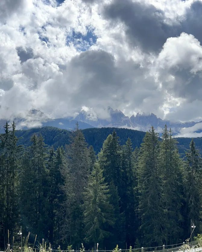 A panoramic view of pine trees and mountains under a cloudy blue sky