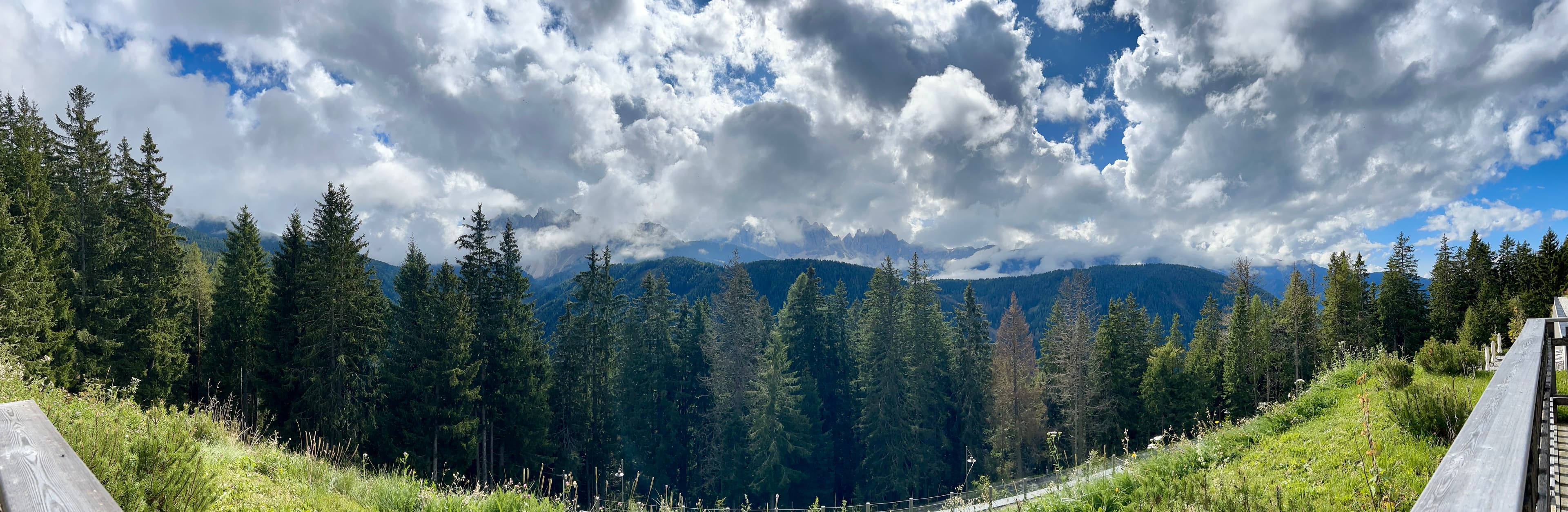 A panoramic view of pine trees and mountains under a cloudy blue sky