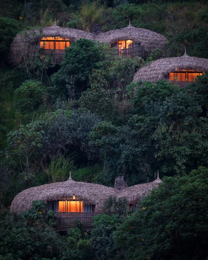 Straw huts nestled into a forest with lit up windows