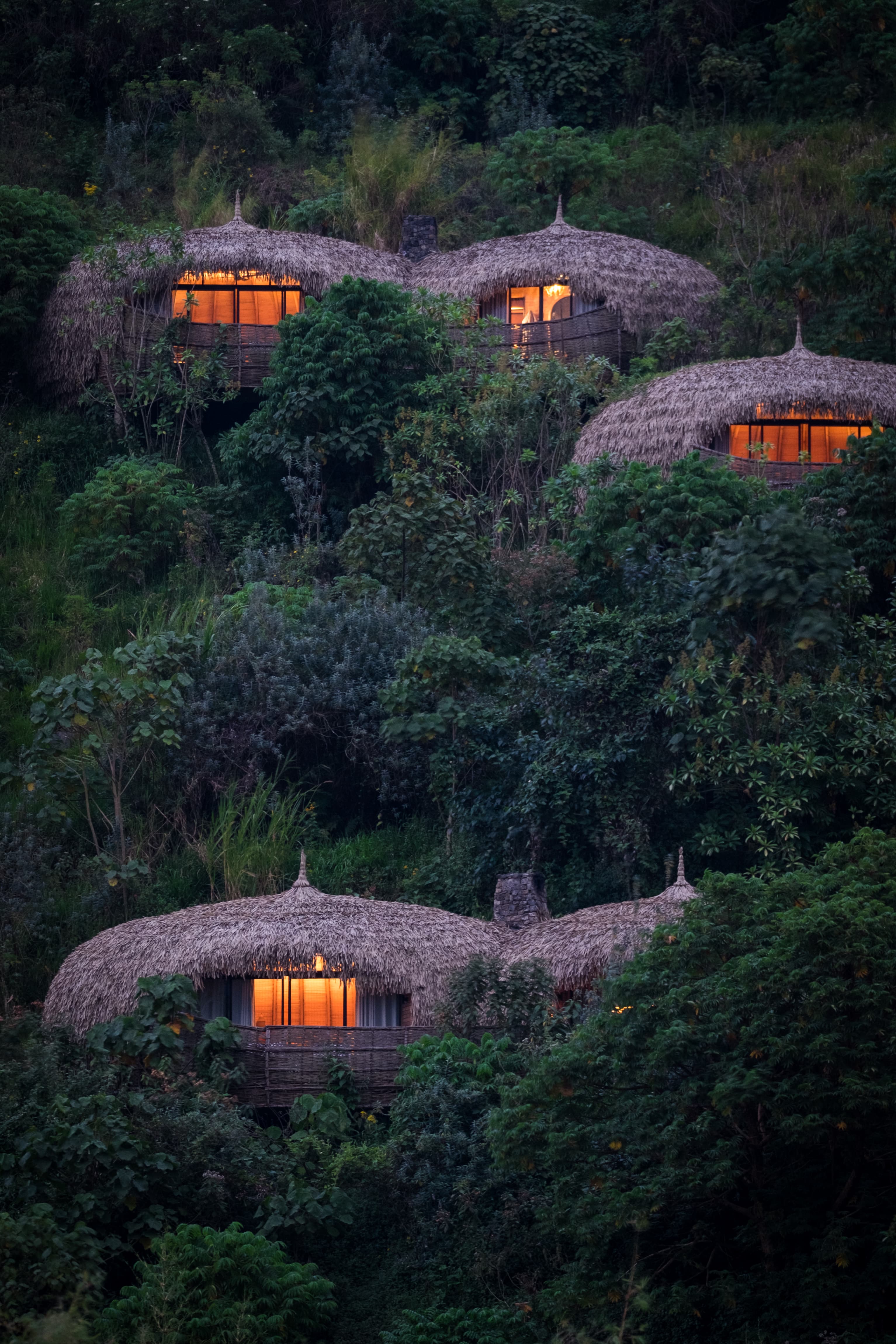 Straw huts nestled into a forest with lit up windows
