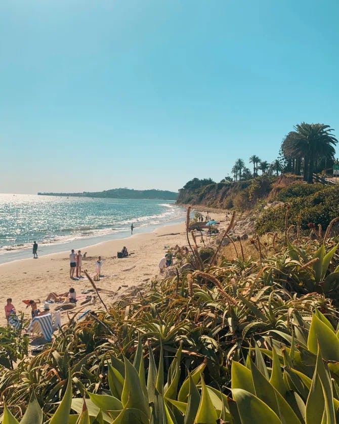 Picture of Butterfly Beach