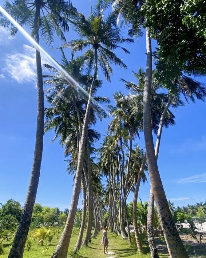 Travel Advisor Arlette Diederiks walking under palm trees.