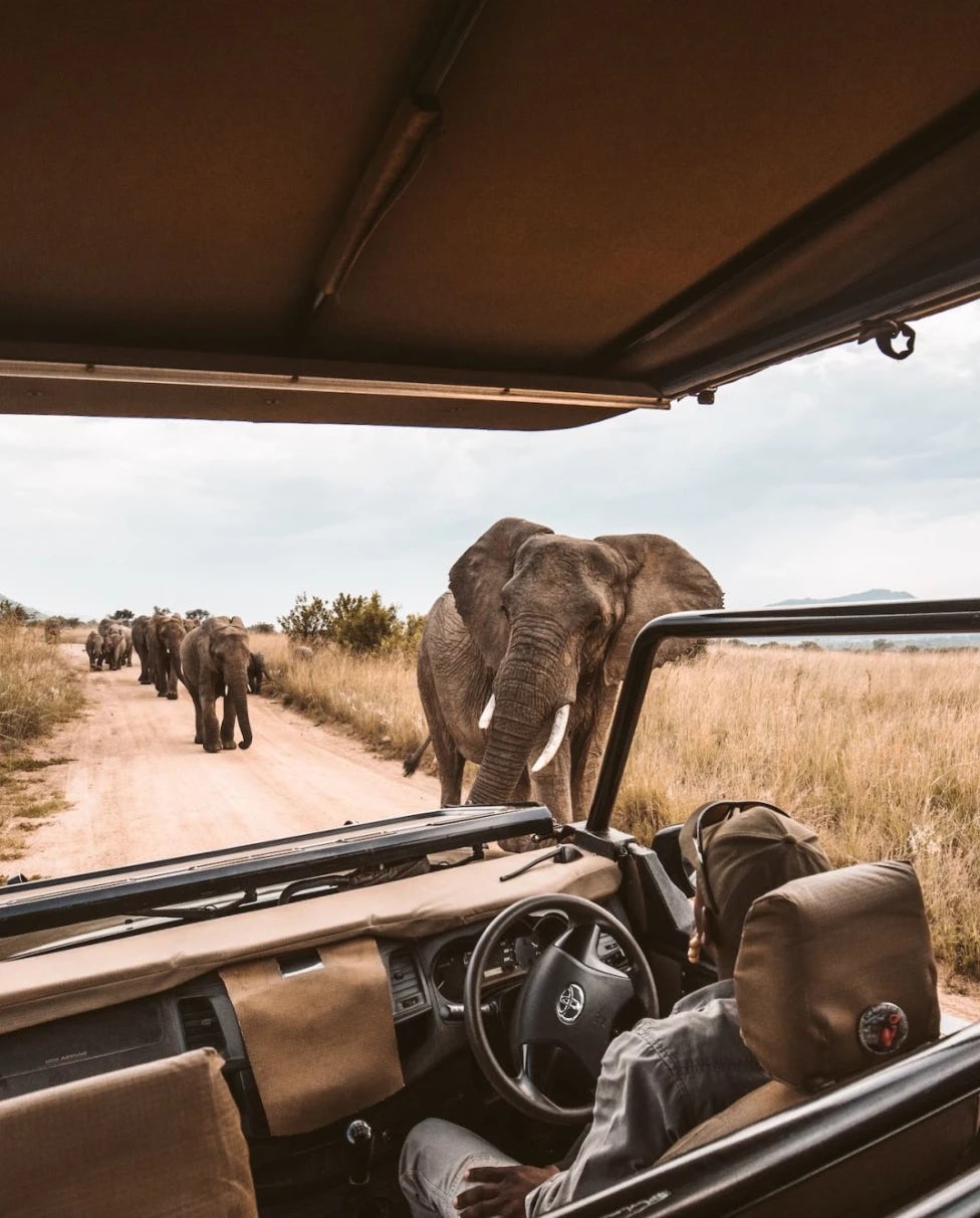 Picking the Perfect African Safari