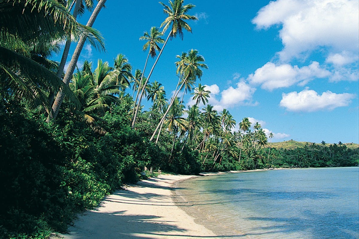 idyllic white-sand beach with palm trees