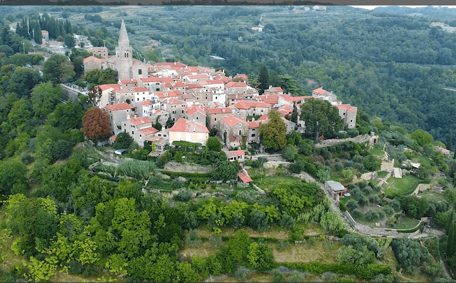 Houses on a lush green valley