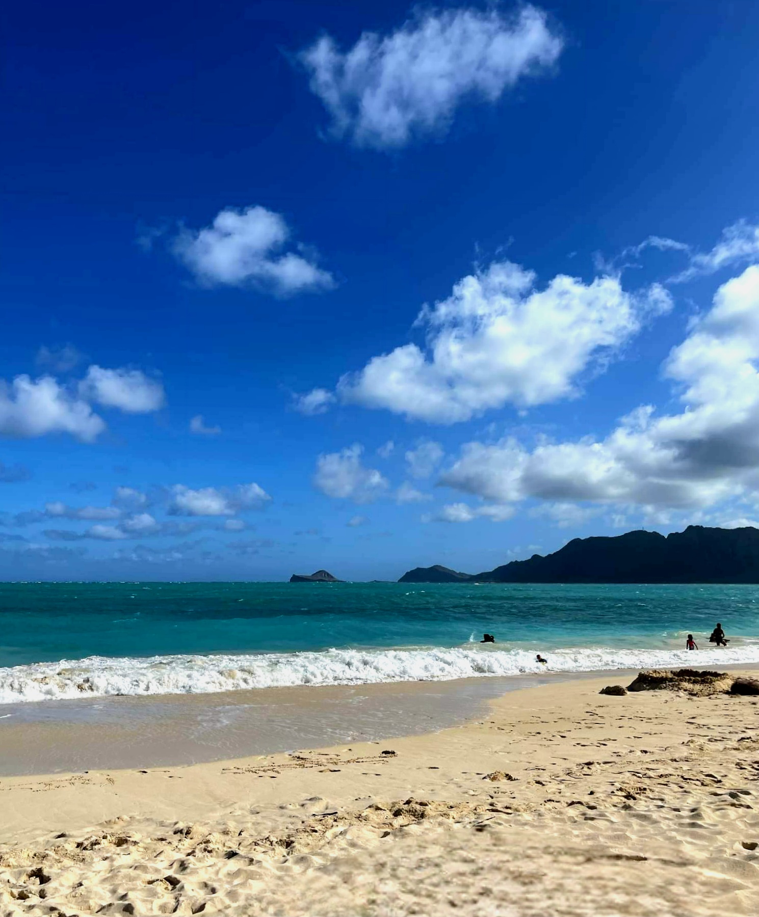 Beach, sea, and sky view