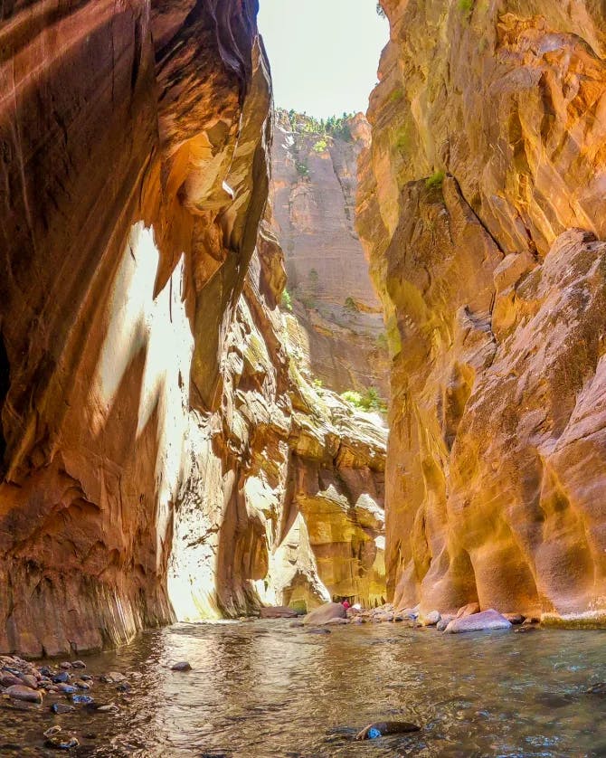 Picture of Zion National Park with the sun shining through the rock formations above the water