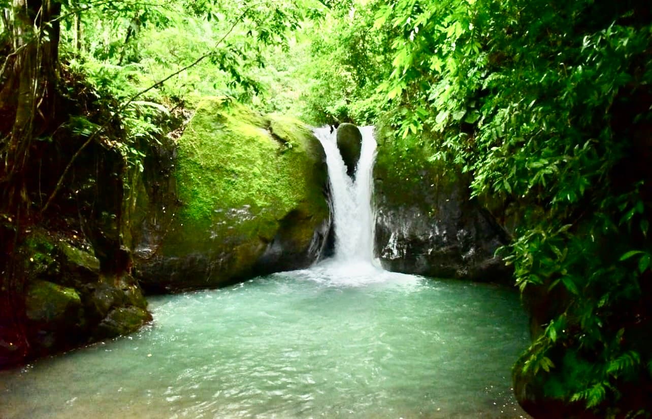Waterfall within greenery