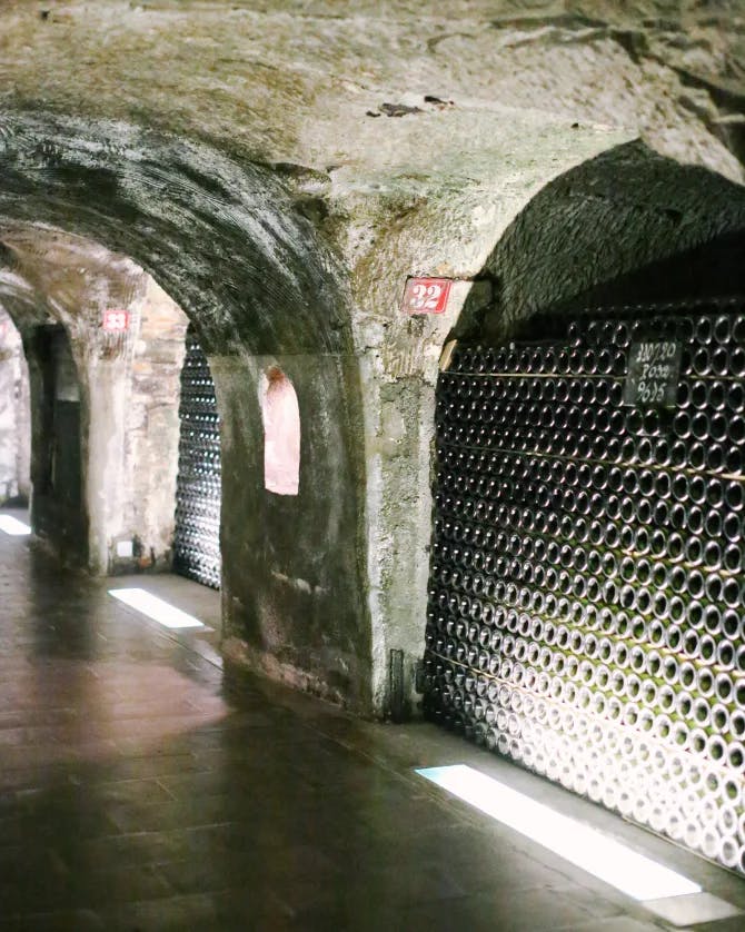 Visiting a wine cellar in Paris
