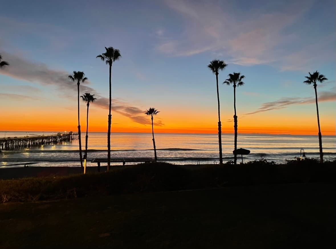 A picture of a beautiful orange sunset at dusk with seven tall palm trees scattered along the beach and a pier in the distance