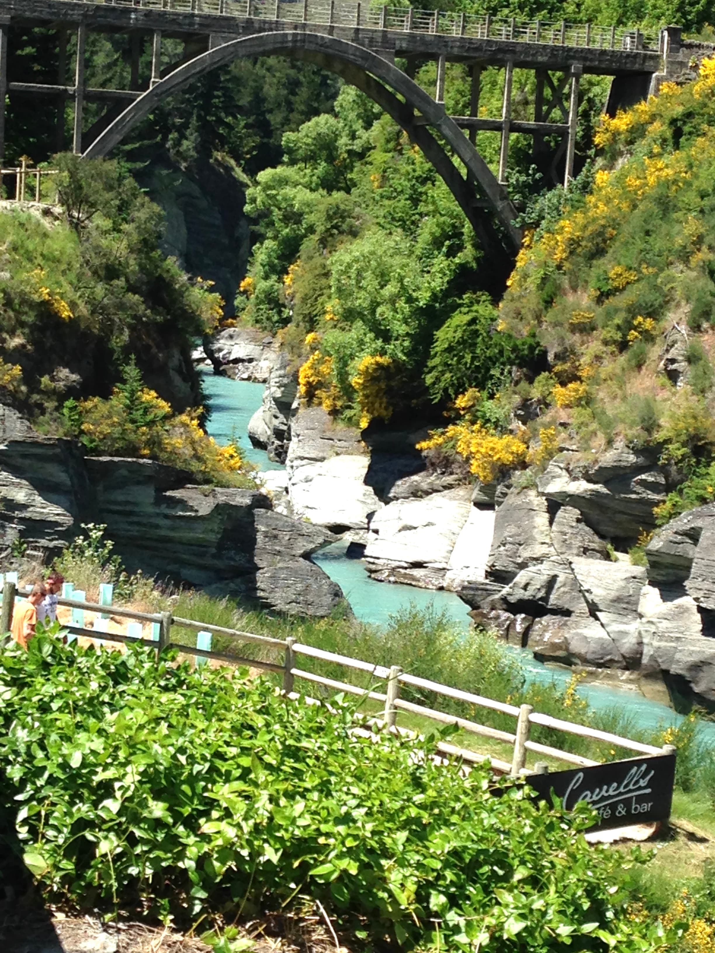 A bridge over park.