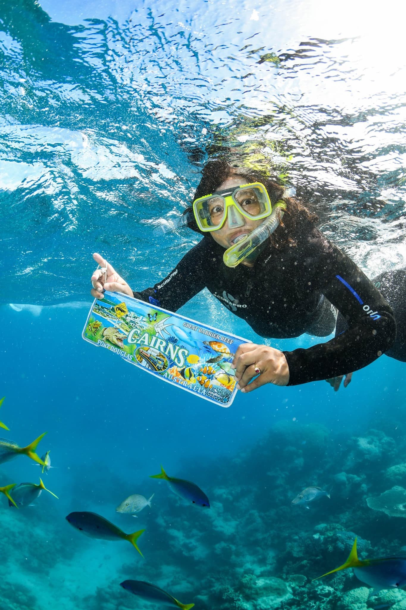 Travel advisor snorkeling