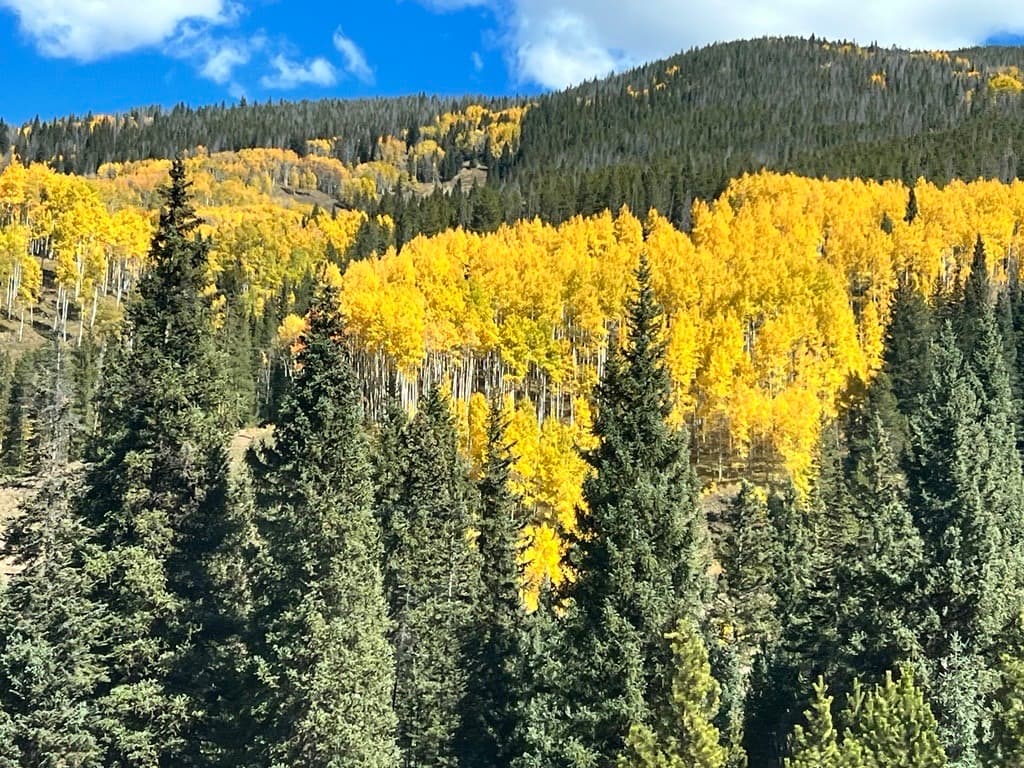 keshia-medellin-nature