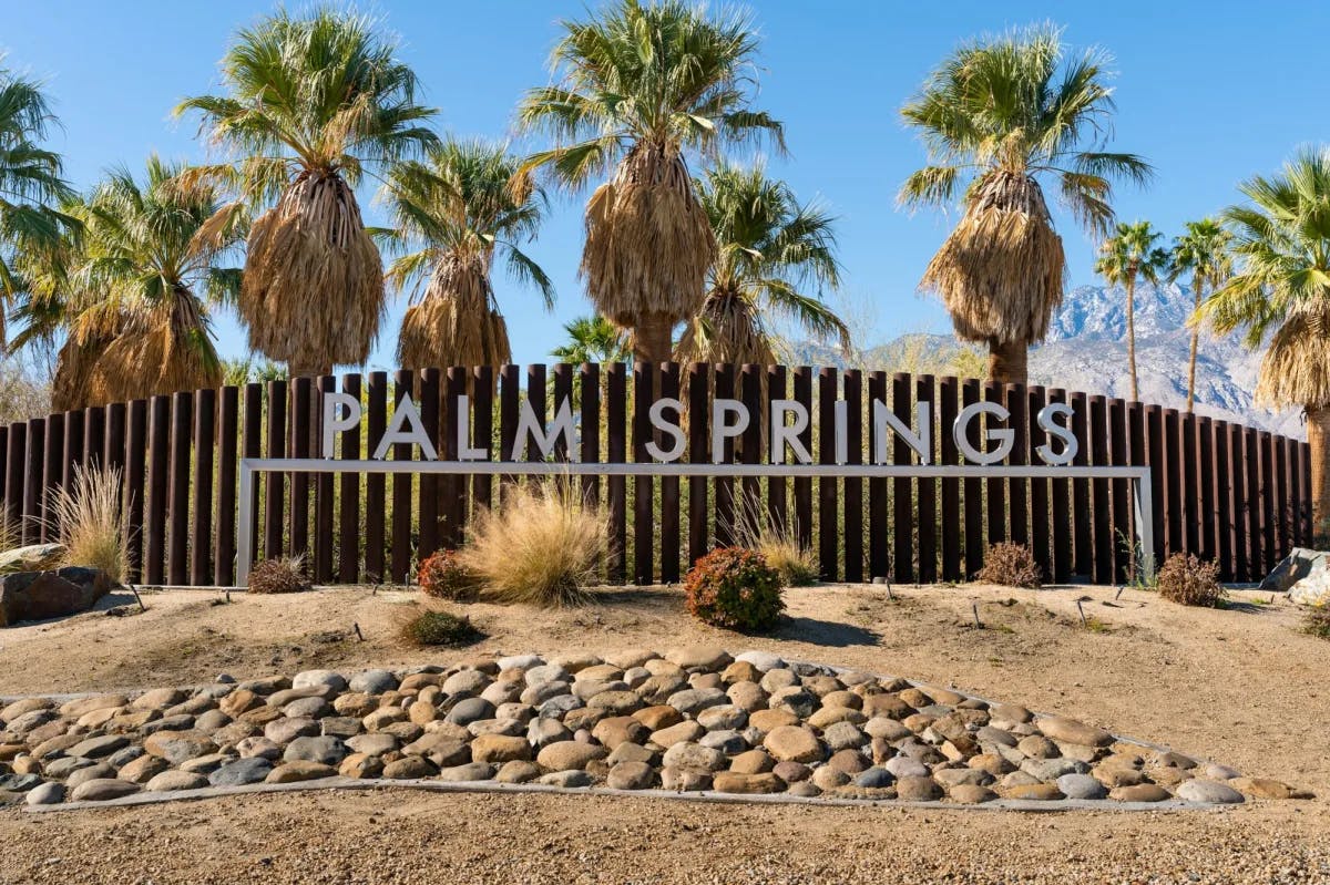 A sign reading "Palm Springs" stands over a desert garden and beneath palms, welcoming travelers