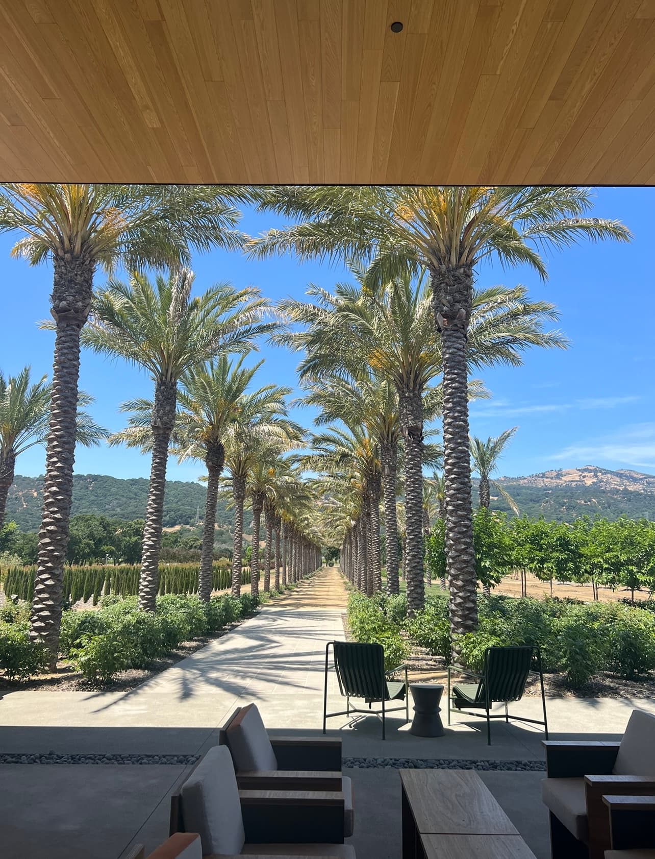 Walkway lined by trees