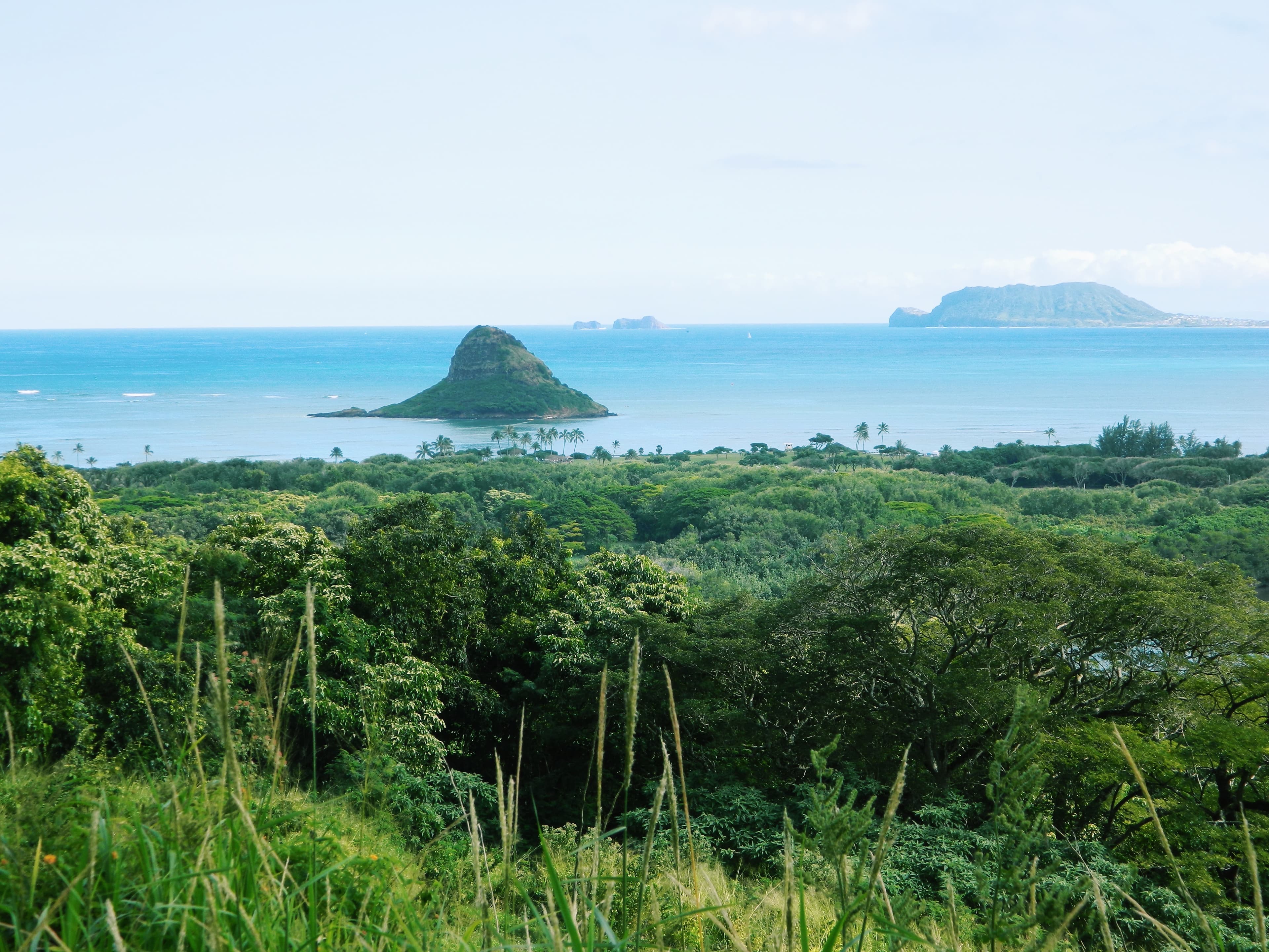 An distant island in the middle of the ocean with lot of greenery and beautiful clear waters.