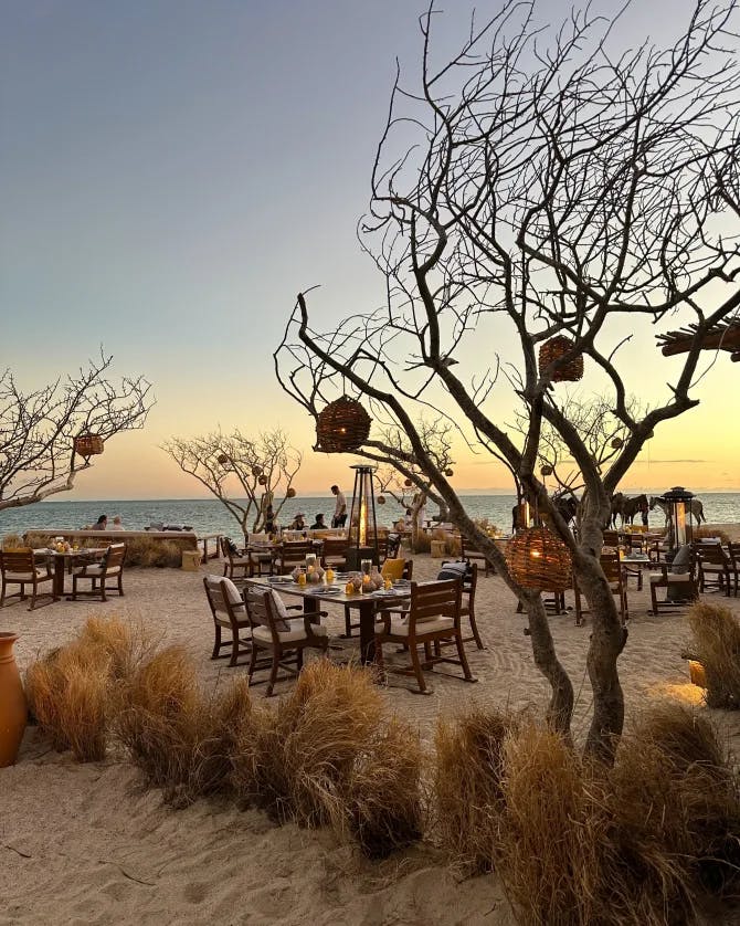 Picture of Las Ventanas al Paraiso, A Rosewood Resort with tables on a sandy beach surrounded by trees and wild grasses