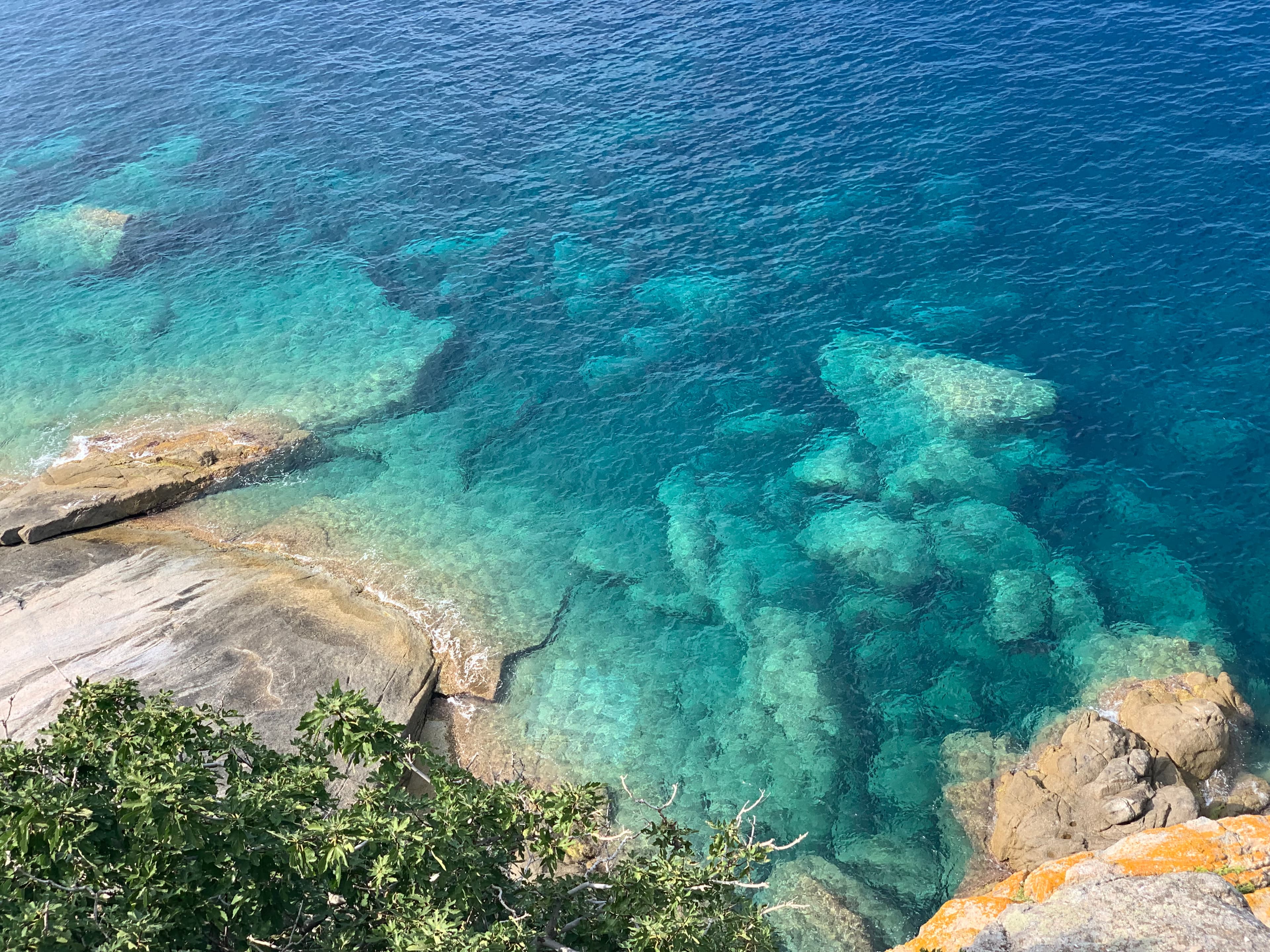 Waves crashing on sea shore