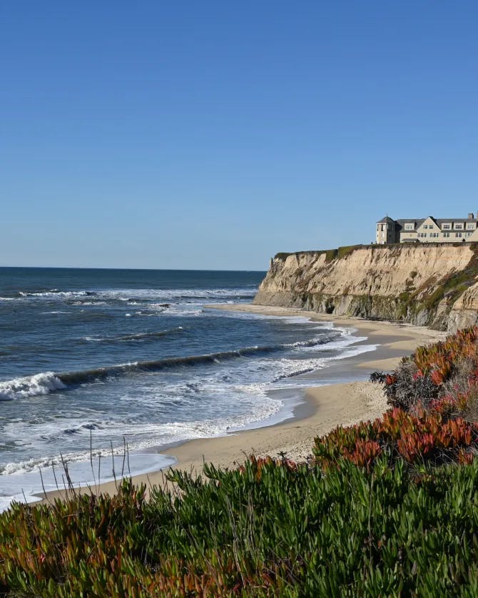 A coastal view of sand-colored cliffs and a beautiful beach with green and orange shrubs around
