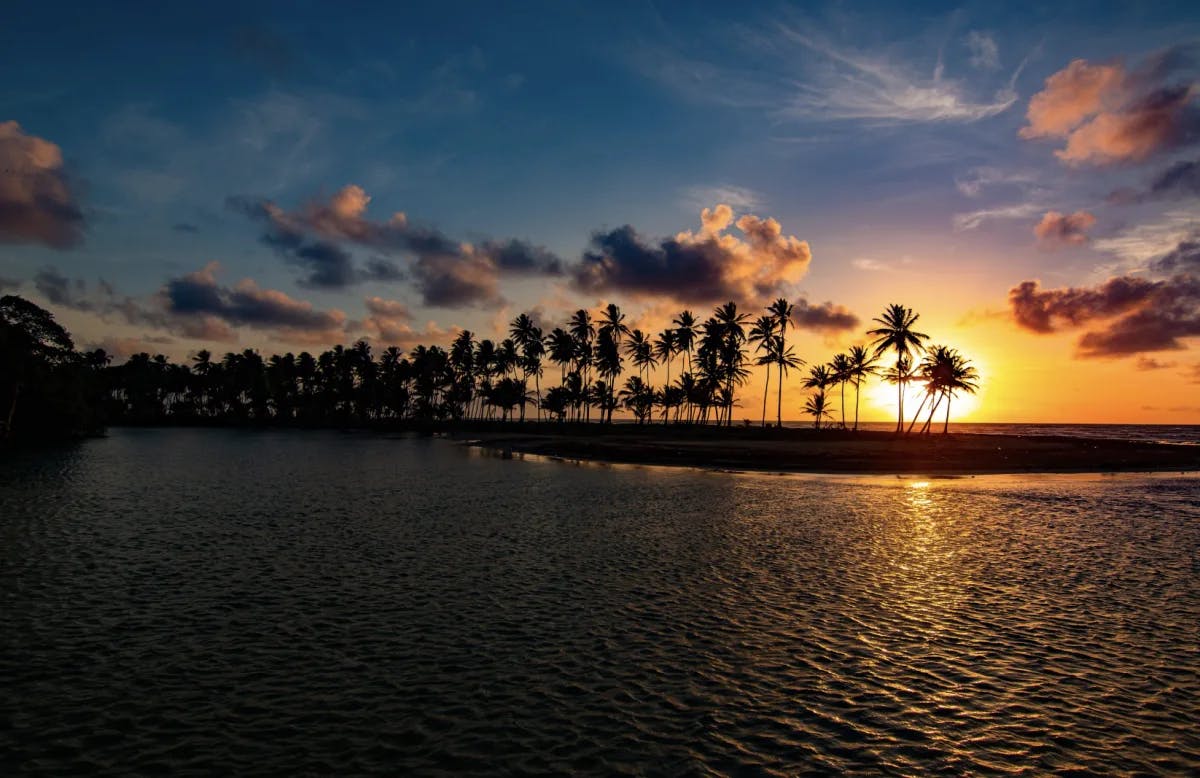 A sunrise behind the palm trees in the Caribbean. There are also pink clouds in the sky and reflective water in the forefront. 