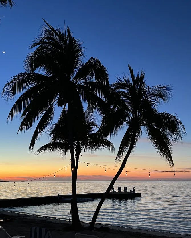Picture of palm trees along a beach with beautiful sunset